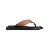 The Ellery Thong - Chocolate