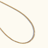 Everyday Rolo Chain Necklace - Gold