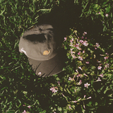 Le Lapin Caps
