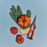 Heirloom Tomato Candle - Large Orange