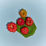 Heirloom Tomato Candle - Large Red