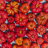 Heirloom Tomato Candle - Large Red