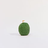 Avocado Candle Green