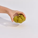 Heirloom Tomato Candle - Large Green