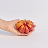 Heirloom Tomato Candle - Large Orange