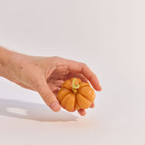 Heirloom Tomato Candle - Small Orange