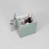 Mini Chilly Bin - Sage Green